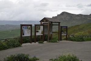 _DSC0613           